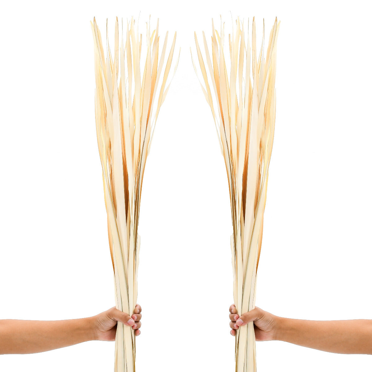 2-Pack Rattan Sticks for Floor Vases – Natural Decorative Twigs ( 8 per Bundle), ecru, Rattan Branches