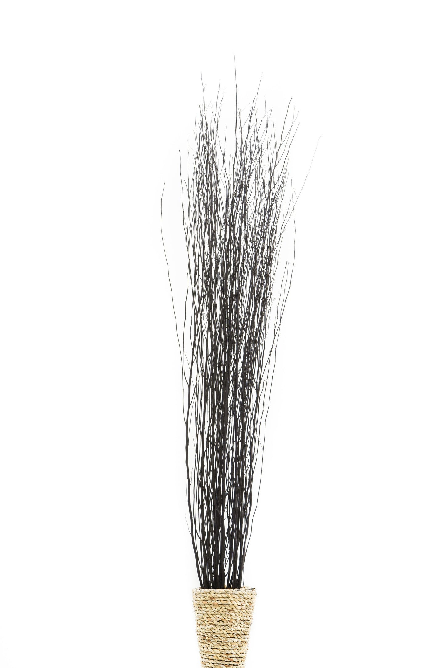 2-Pack Rattan Sticks for Floor Vases – Natural Decorative Twigs ( 8 per Bundle), black brown, Rattan Branches