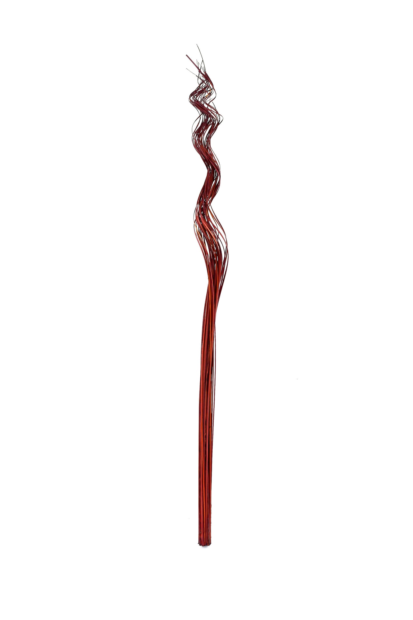 2-Pack Rattan Sticks for Floor Vases – Natural Decorative Twigs ( 8 per Bundle)