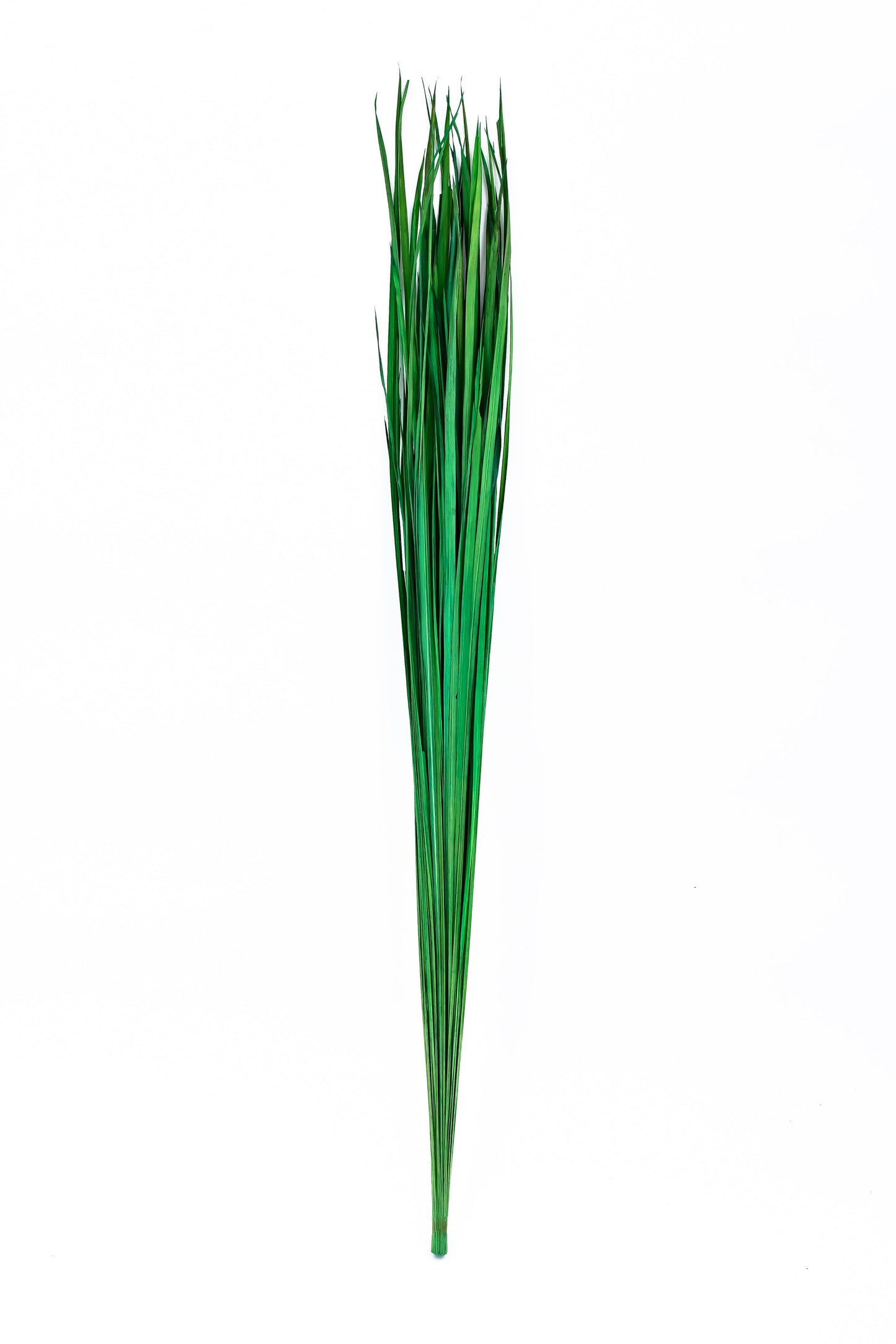 2-Pack Rattan Sticks for Floor Vases – Natural Decorative Twigs ( 8 per Bundle)