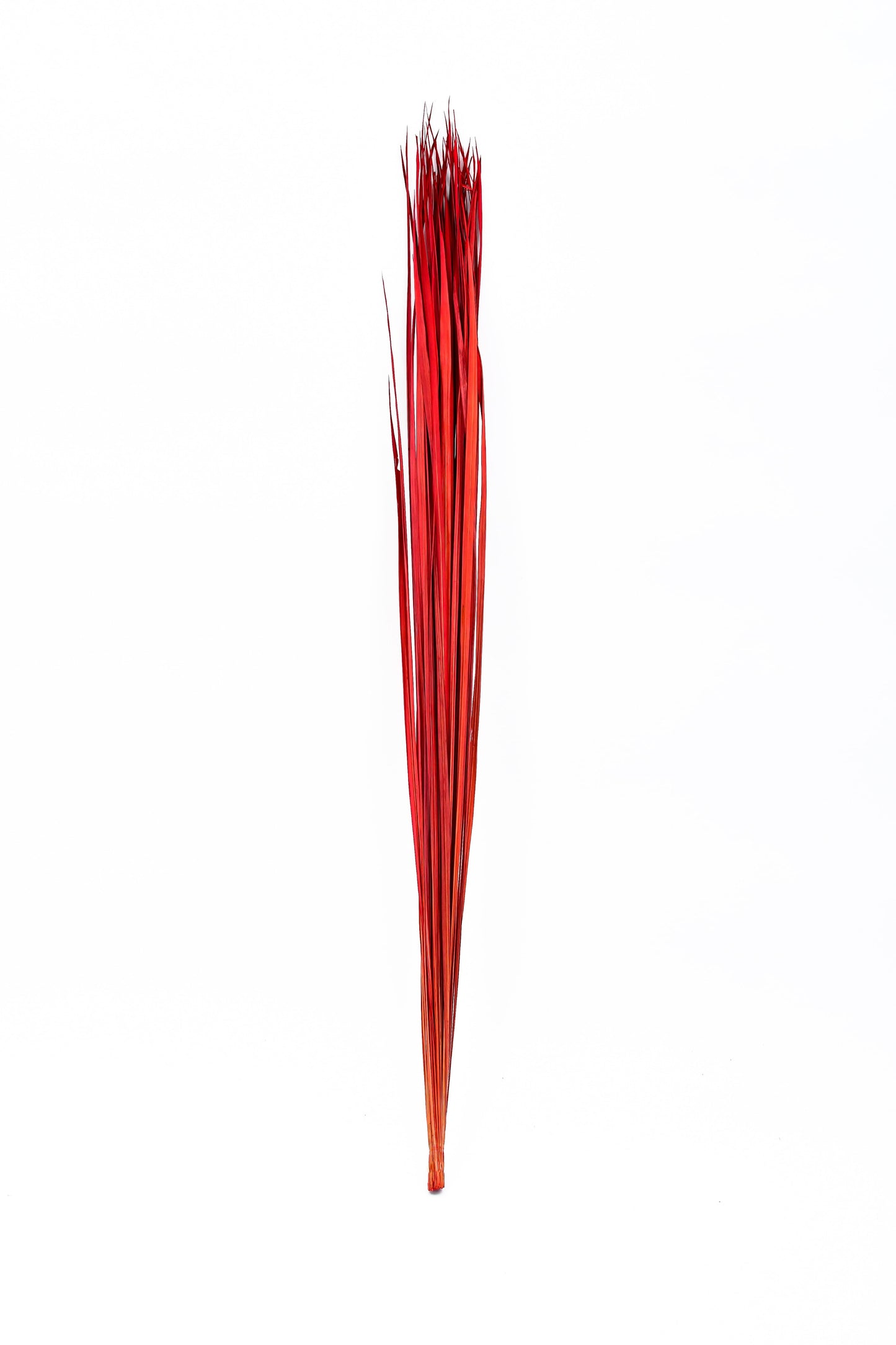 2-Pack Rattan Sticks for Floor Vases – Natural Decorative Twigs ( 8 per Bundle)