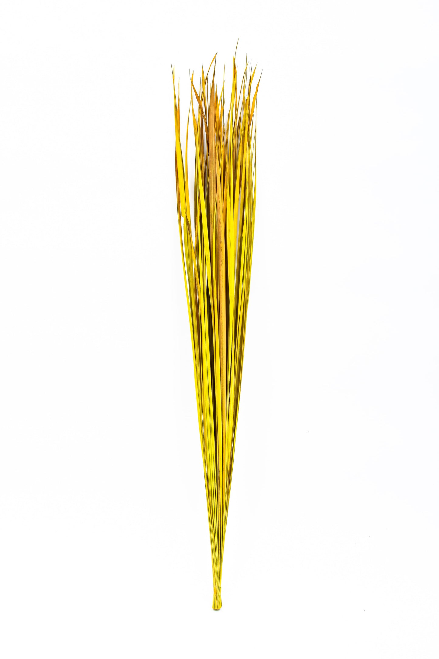2-Pack Rattan Sticks for Floor Vases – Natural Decorative Twigs ( 8 per Bundle)