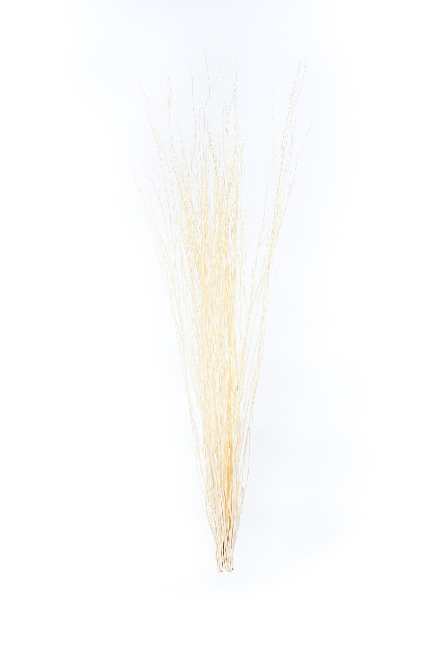2-Pack Rattan Sticks for Floor Vases – Natural Decorative Twigs ( 8 per Bundle)