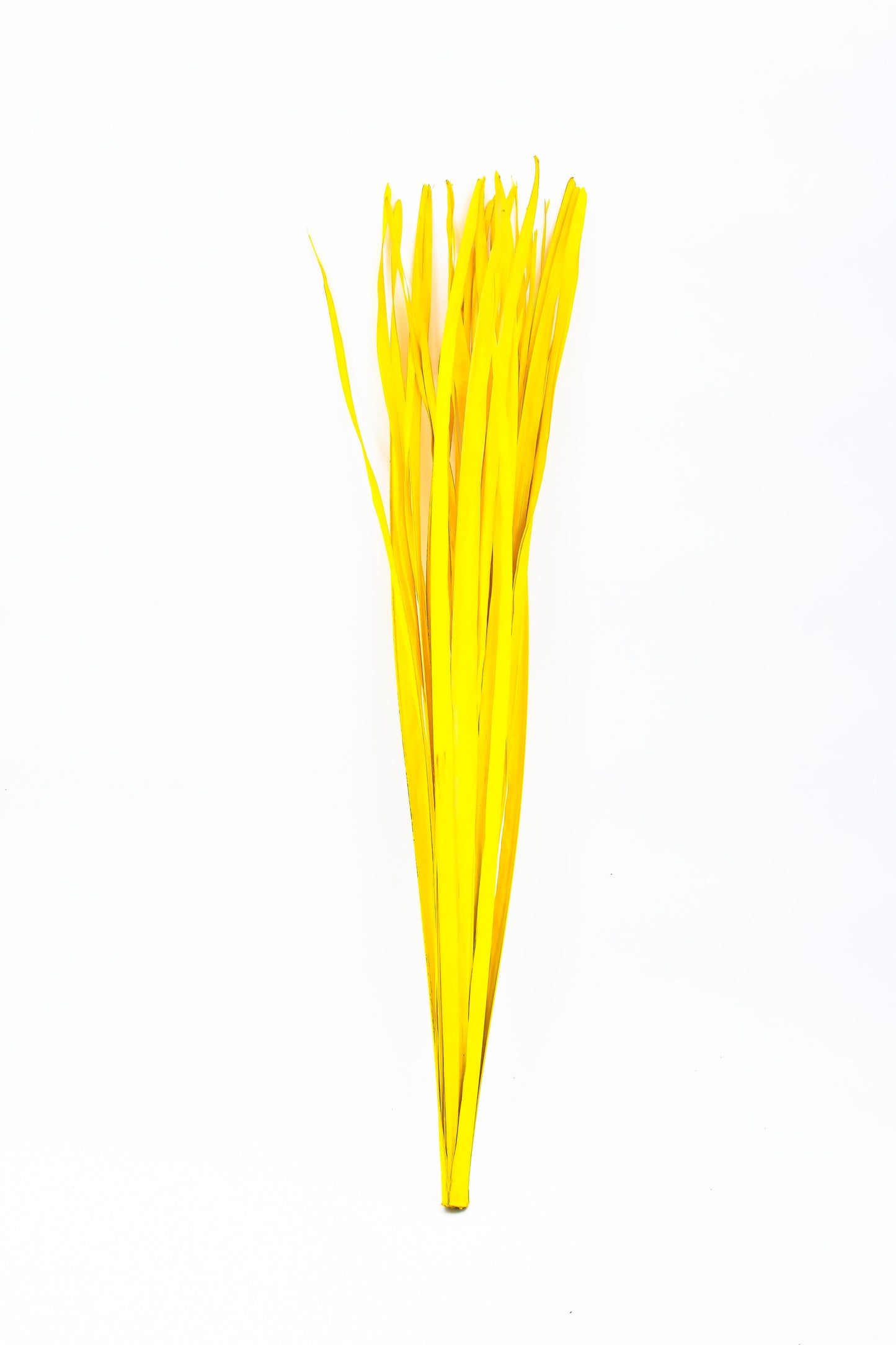 2-Pack Rattan Sticks for Floor Vases – Natural Decorative Twigs ( 8 per Bundle)