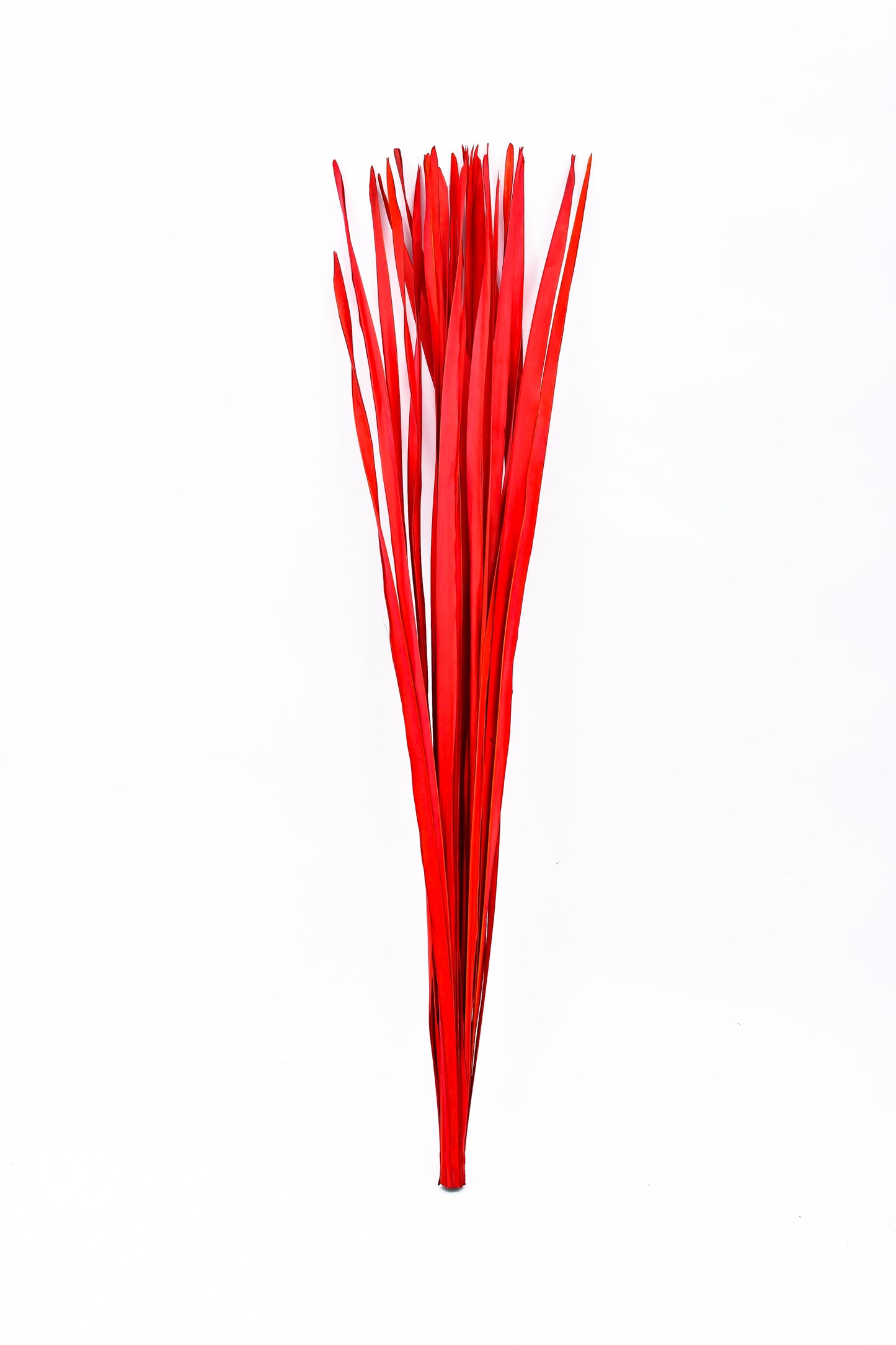2-Pack Rattan Sticks for Floor Vases – Natural Decorative Twigs ( 8 per Bundle)
