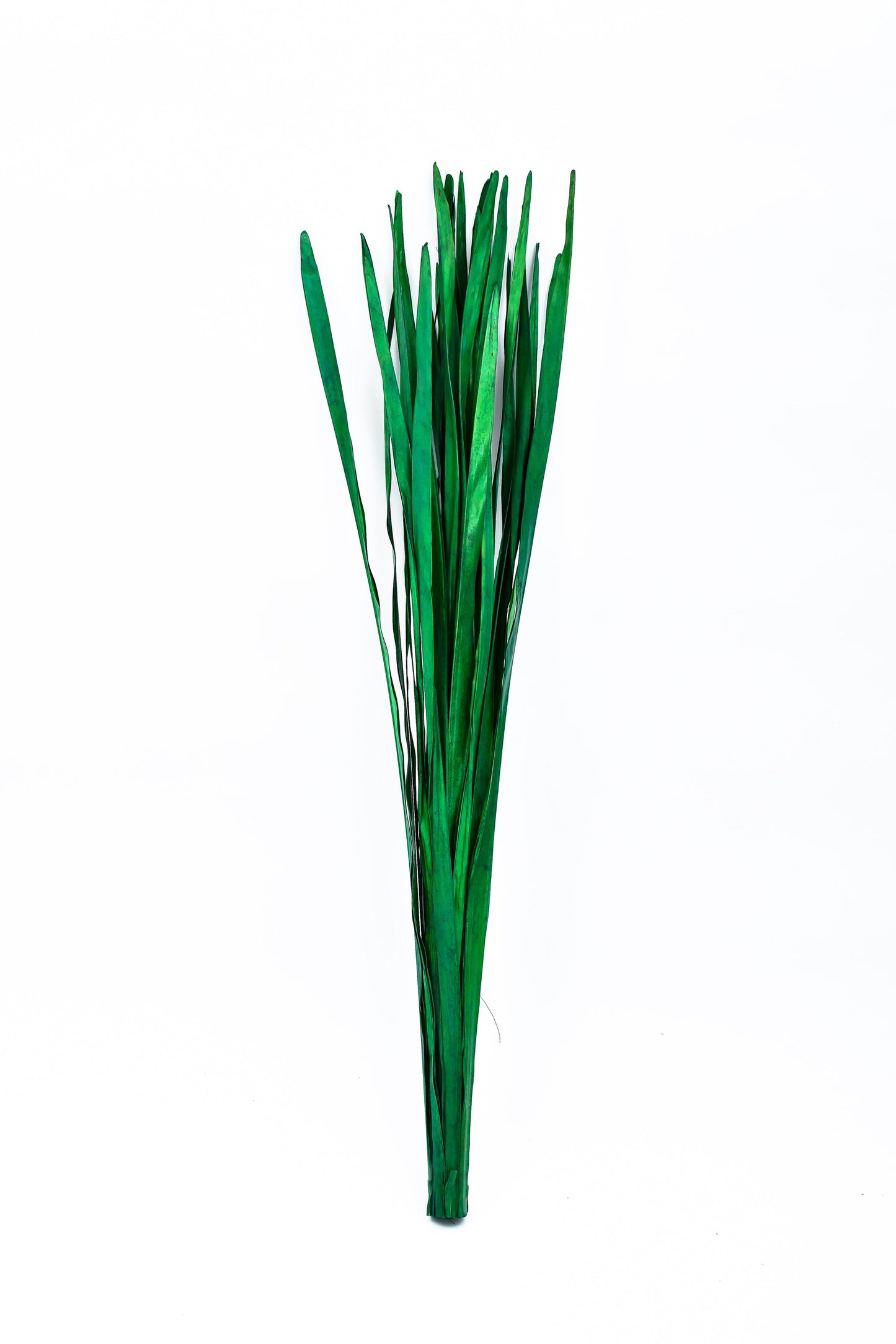2-Pack Rattan Sticks for Floor Vases – Natural Decorative Twigs ( 8 per Bundle)