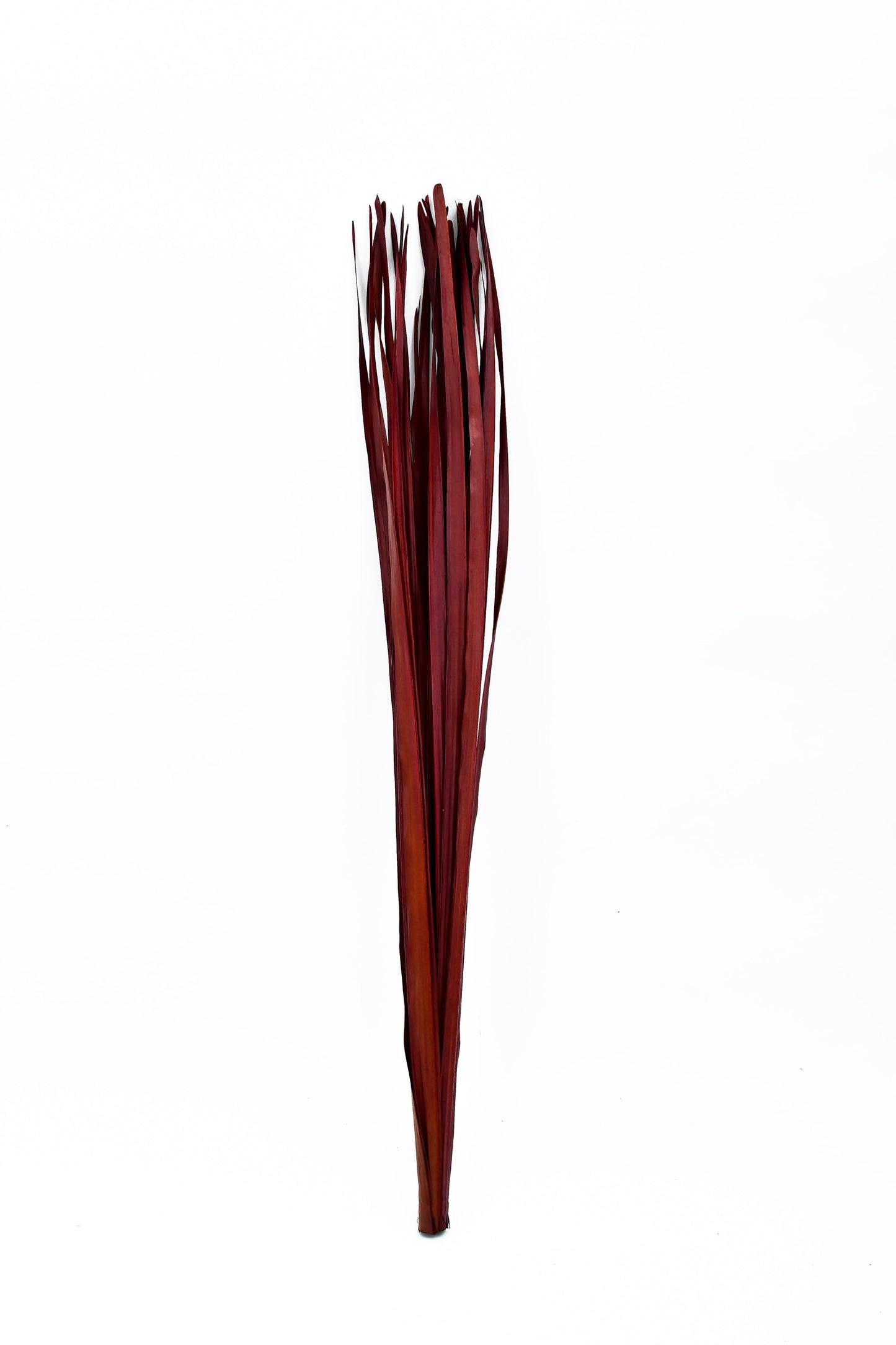 2-Pack Rattan Sticks for Floor Vases – Natural Decorative Twigs ( 8 per Bundle)