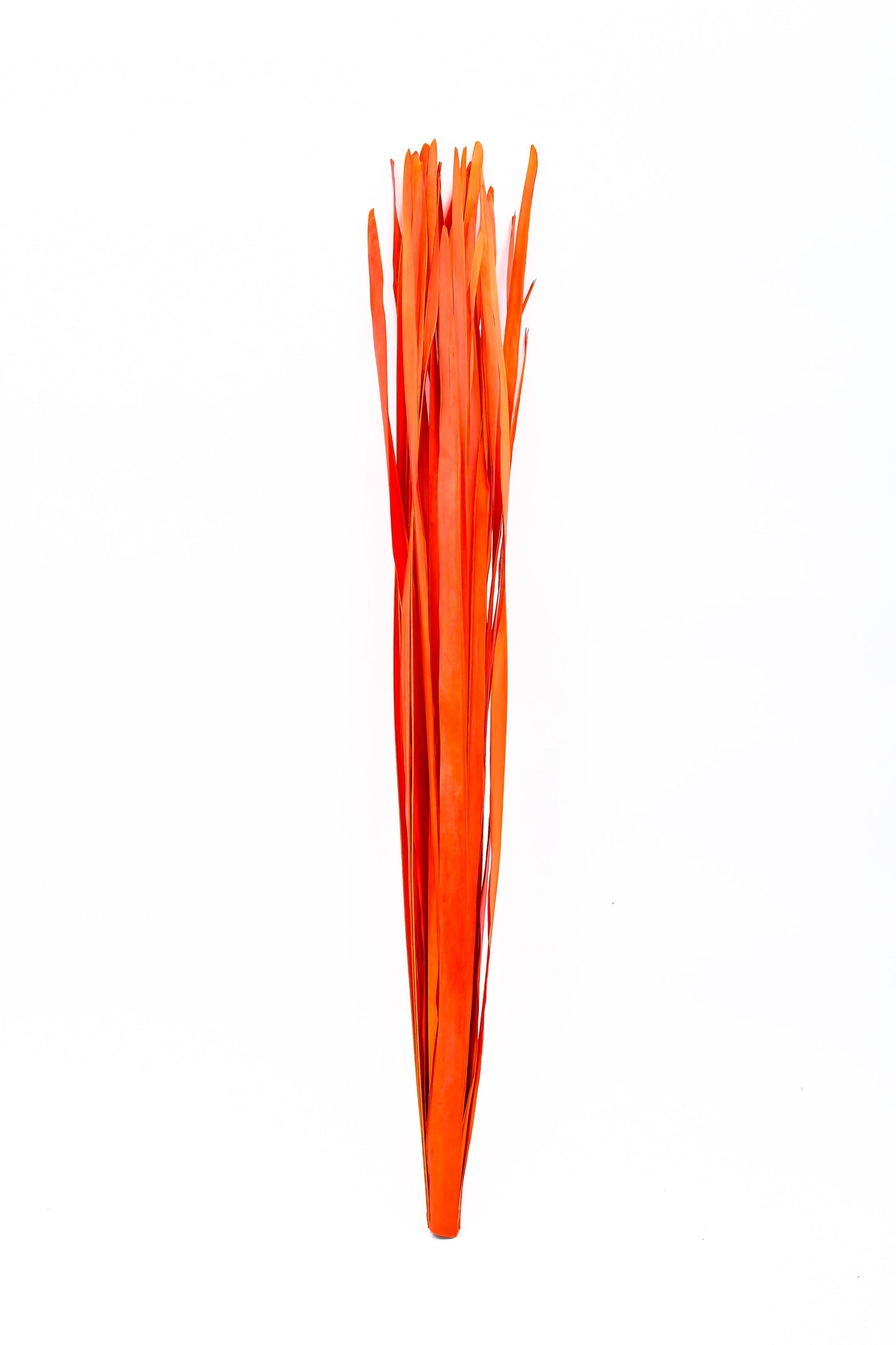 2-Pack Rattan Sticks for Floor Vases – Natural Decorative Twigs ( 8 per Bundle)